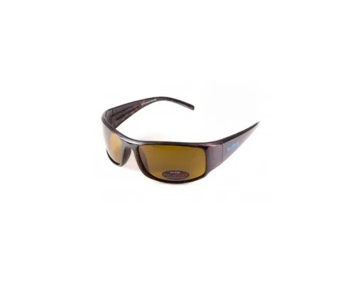 Сонцезахисні окуляри BluWater Florida-1 Polarized Коричневі (4ФЛР1-50П)