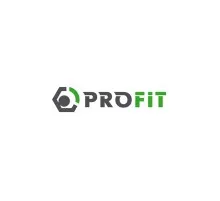 Повітряний фільтр для автомобіля Profit 1512-4055