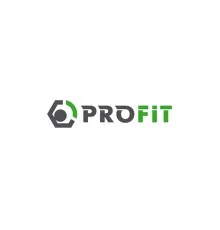 Повітряний фільтр для автомобіля Profit 1512-4055