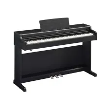 Цифрове піаніно Yamaha Arius YDP-165 Black (YDP-165B)