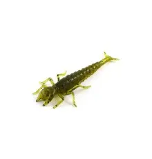 Силікон рибальський FishUP Diving Bug 2" 074 - Green Pumpkin Seed (8шт/уп) (1862.00.20)