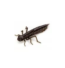 Силікон рибальський FishUP Dragonfly 1.7" 050 - Green Pumpkin Brown/Red&Purple (8шт/уп) (1864.04.95)