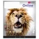Зошит Школярик Online 48 аркушів лінія (048-3420L)