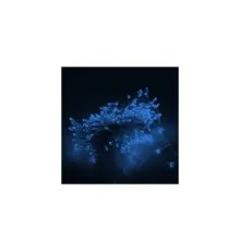 Гірлянда Voltronic Штора Водопад Blue 300LED, 3*1,2 м, прозра, BOX (DT-2025/V300B)