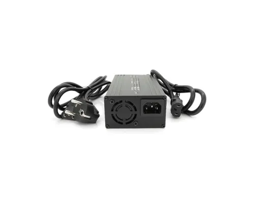Мережевий зарядний пристрій для АКБ Voltronic LiFePO4 24V(29.2V), 8S, 10A (YT-2410-8S-C13)