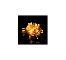Гірлянда Voltronic 100 LED Діод White Hot, 10 м., 8 режимів, прозора (Garl-100LED-10mWH)