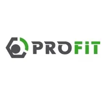 Повітряний фільтр для автомобіля Profit 1512-4129