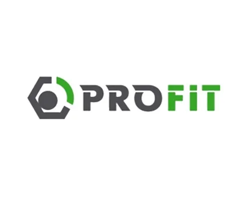 Повітряний фільтр для автомобіля Profit 1512-4129