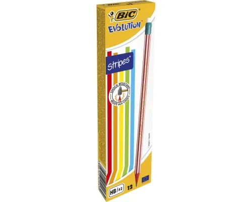 Олівець графітний Bic Evolution Stripes HB, з гумкою (bc8960342)