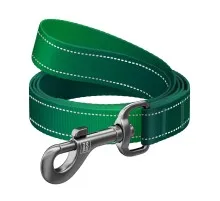 Повідець для собак WAUDOG Nylon Mono світловідбивний M 20 мм, 200 см, зелений (463718)