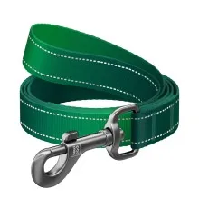 Повідець для собак WAUDOG Nylon Mono світловідбивний M 20 мм, 200 см, зелений (463718)