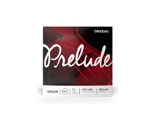 Струни для скрипки D'Addario Prelude Violin String Set 1/2 Scale Medium Tension (J810 1/2M)