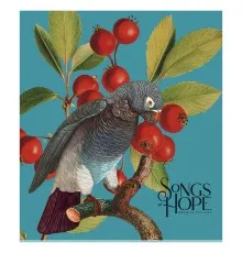 Зошит Школярик Birds 60 аркушів клітинка (060-3410K)