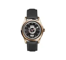 Наручний годинник Cimier 2411-PP021E