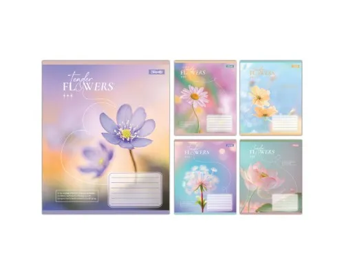 Зошит 1 вересня Tender Flowers А5 60 аркушів лінія (768083)