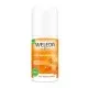 Дезодорант Weleda Sea Buckthorn 24h Deo Roll-On 50 мл (4001638502399)