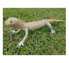 Фігурка Lanka Novelties Гекон блакитний , 40 см (21611)