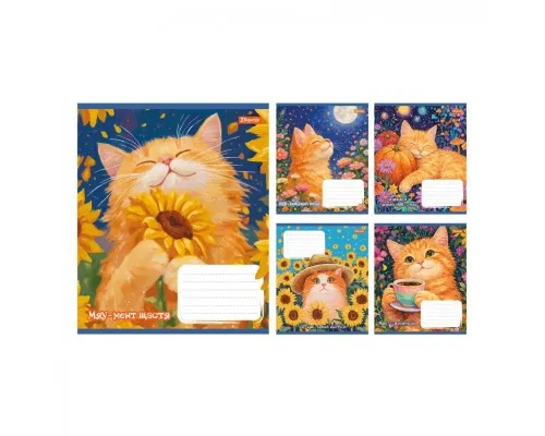 Зошит 1 вересня Sunny cat А5 18 аркушів клітинка (768771)