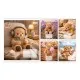 Зошит 1 вересня Bear stories А5 24 аркушів клітинка (768974)