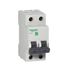 Автоматичний вимикач Schneider Electric Easy9 2P 25A C (EZ9F34225)