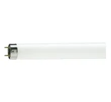 Лампочка Philips TL-D 30W/54-765 1SL/25 (928025405451)