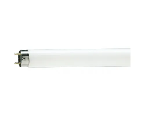 Лампочка Philips TL-D 30W/54-765 1SL/25 (928025405451)