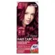 Відтінковий бальзам Acme Color Hair Care Ton Oil Mask 034 - Дика вишня (4820197009411)