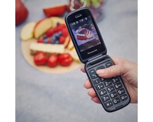 Мобільний телефон Panasonic KX-TU550 Grey (KX-TU550EXC)