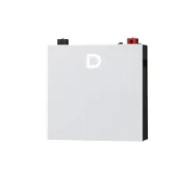 Батарея LiFePo4 Dyness DL5.0C Pro 51.2V - 100Ah (DL5.0C Pro)