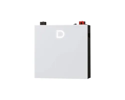 Батарея LiFePo4 Dyness DL5.0C Pro 51.2V - 100Ah (DL5.0C Pro)