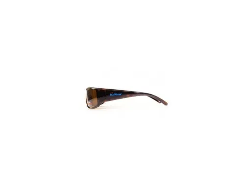 Сонцезахисні окуляри BluWater Florida-1 Polarized Коричневі (4ФЛР1-50П)