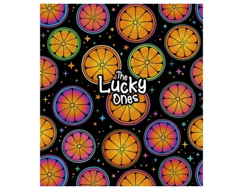 Зошит Школярик The Lucky ones 24 аркуша лінія (024-3089L)