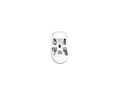 Мишка Pulsar Xlite Crazylight Medium 8К Wireless White (PXLCL202)