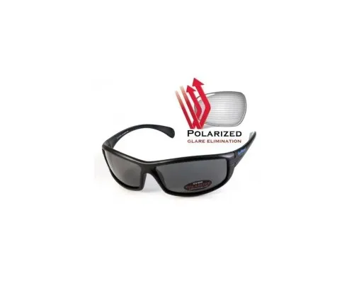 Сонцезахисні окуляри BluWater Florida-4 Polarized Сірі (4ФЛР4-20П)