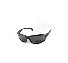 Сонцезахисні окуляри BluWater Florida-4 Polarized Сірі (4ФЛР4-20П)