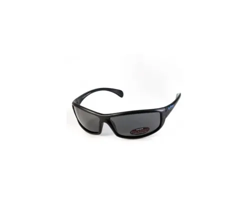 Сонцезахисні окуляри BluWater Florida-4 Polarized Сірі (4ФЛР4-20П)