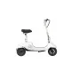 Електросамокат OKAI Ceetle PRO EA10C 10" 900 Вт 10.4 Ah White (EA10C-W)