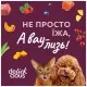 Вологий корм для собак Delickcious Смужки з індичкою та сиром в крем-супі 85 г (4820269141810)