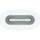 Адаптер Apple USB-C to Apple Pencil Adapter (MWML3ZM/A)