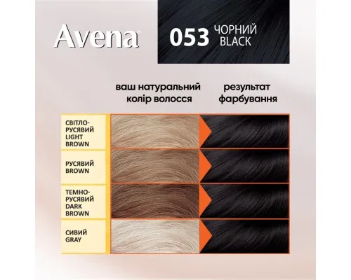 Фарба для волосся Acme Color Avena Rich Color Стійка 053 - Чорний (4823115502636)