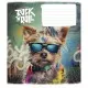 Зошит Школярик Rock star 12 аркушів коса лінія (012-3277L)