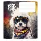 Зошит Школярик Rock star 12 аркушів коса лінія (012-3277L)