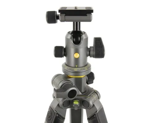 Штатив Vanguard Alta Pro 2+ 263AB 100 (DAS302029)