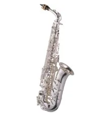 Саксофон J.Michael Alto Saxophone (AL-900SL (S))