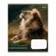 Зошит 1 вересня Into the wild А5 48 аркушів лінія (769131)