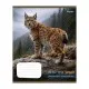 Зошит 1 вересня Into the wild А5 48 аркушів лінія (769131)
