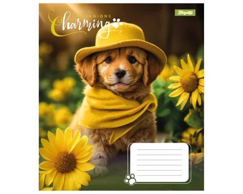 Зошит 1 вересня Charming companions А5 12 аркушів лінія (767218)
