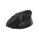 Мишка Canyon MW-25 LED Silent Wireless/Bluetooth Black (CNS-CMSW25)