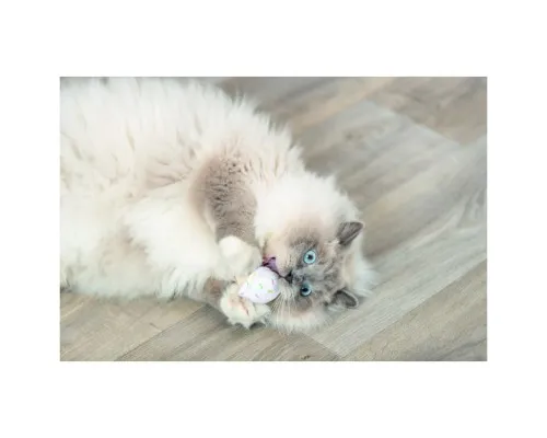Іграшка для котів Trixie Морозиво і тістечко плюш з котячою м ятою 7 см (4011905455525)