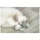 Іграшка для котів Trixie Морозиво і тістечко плюш з котячою м ятою 7 см (4011905455525)